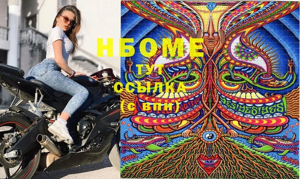 СК Касимов