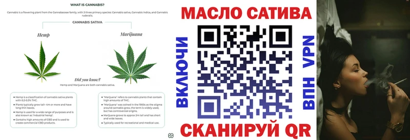 Купить закладки  Гусиноозёрск  ТГК THC oil 