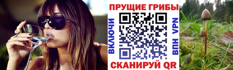 Купить где  Гусиноозёрск  Псилоцибиновые грибы MAGIC MUSHROOMS 